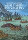 Whale Ships & Whaling